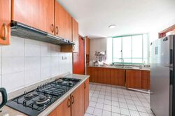 Hazel Park Condominium (D23), Condominium #486362381